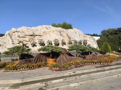 -北京西山国家森林公园