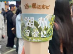 -猫的魔法密林(衣裳街店)