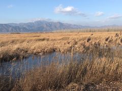 -野鸭湖国家湿地公园
