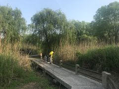 -长广溪湿地公园