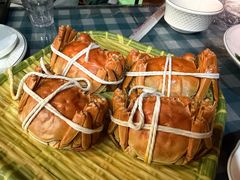 -蟹天蟹地农家菜·阳澄湖大闸蟹(浅水湾店)
