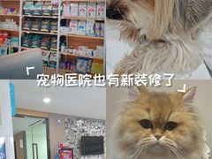 -艾贝尔宠物医院·24H转诊中心·肿瘤猫专科(江宁双龙店)