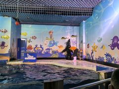 -太平洋海底世界