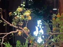 -野山舂·贵州现舂酸汤火锅(鸿通城店)