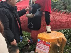 -沈阳植物园