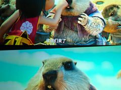 -金逸影城(中关村店)