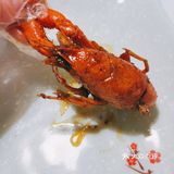龙虾和烧烤吃到尽兴才是真正的夜宵