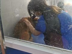 -宠福鑫康馨动物医院·骨科·眼科