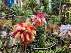 -正佳雨林生态植物园