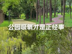-将府公园