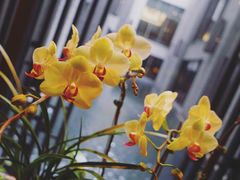 -台北北投丽禧温泉酒店