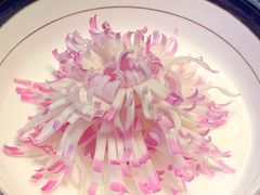 -谦默府· 现代潮粤菜(外滩店)