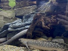 -上海海洋水族馆