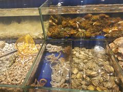 -高佳庄·舟山海鲜(海景旗舰店)