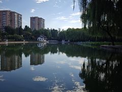 -团结湖公园