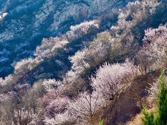 -妙峰山风景名胜区