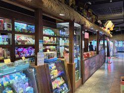 -卡通尼·Safari非洲探索乐园·生日会(金桥国际商业广场店)