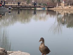 -南翠屏公园