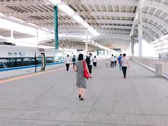 -深圳坪山站