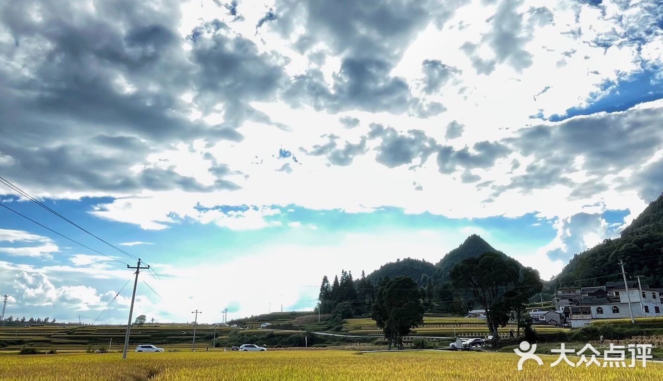 贵阳周边限定秋景/贵定腊利绝美梯田