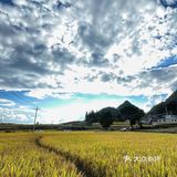 贵阳周边限定秋景/贵定腊利绝美梯田