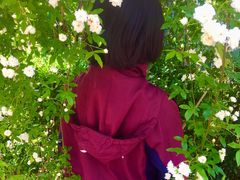 -檀香花苑