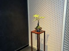 -蝉一日本料理(高新区店)