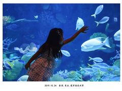 -暹罗海洋世界