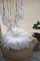 -妙YOGA瑜伽健康管理中心