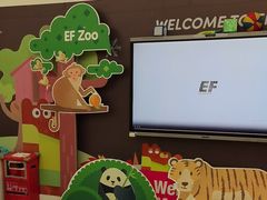 -英孚教育青少儿(福田区委中心)