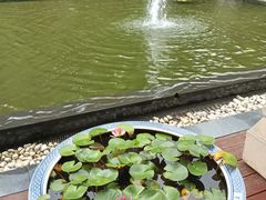 -东航云逸酒店(九溪烟树店)