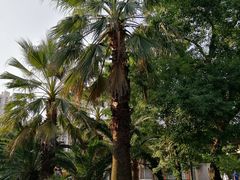 -苏州河梦清园环保主题公园