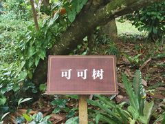 -兴隆隆苑咖啡庄园