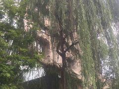 -北京民族园葉子里酒店(鸟巢店)