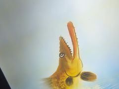 -徽三说·土徽菜·中国徽菜连锁品牌(一中店)