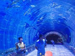 -华夏文旅海洋公园