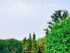 -丁香湖公园