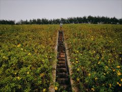 -白石龙音乐公园