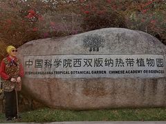 -中国科学院西双版纳热带植物园