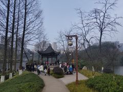-重庆彩云湖湿地公园