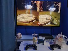 -浣熊部落ps4 ps5 switch 电玩(茶店子店)