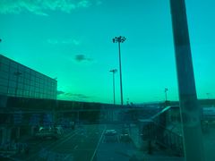 农家特色酱油虾-兴农记