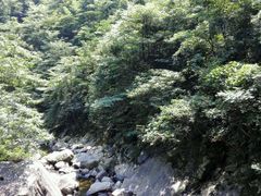 -白云源风景区
