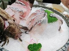-红鼎豆捞·专注品质海鲜20年(宝丰路店)