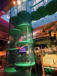 点击看大图 -恐龙探索乐园(磁器口店)