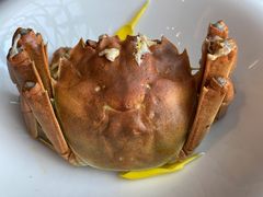 清蒸大闸蟹-蟹榭·本帮江浙菜·蟹宴(五角场合生汇商场店)