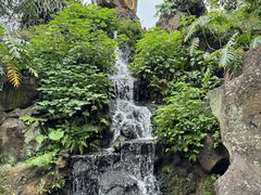 -海口火山口国家地质公园