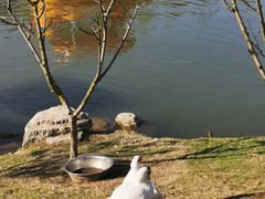 -木兰水镇旅游景区