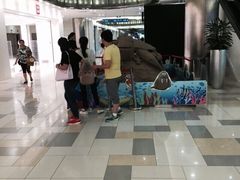 鹏欣水游城购物中心-鹏欣水游城