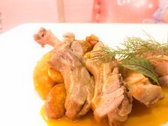 -百好乐宠物友好餐厅(朝外大街店)